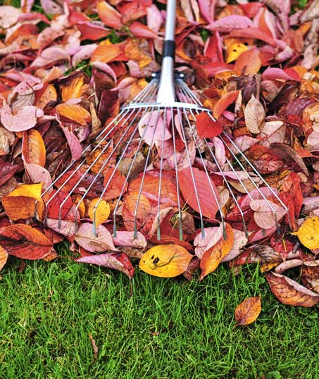 Sterling Lawn & Landscape, Inc. Fall Clean Up